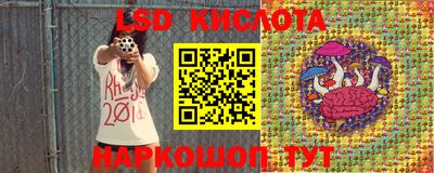 твердый Краснодар