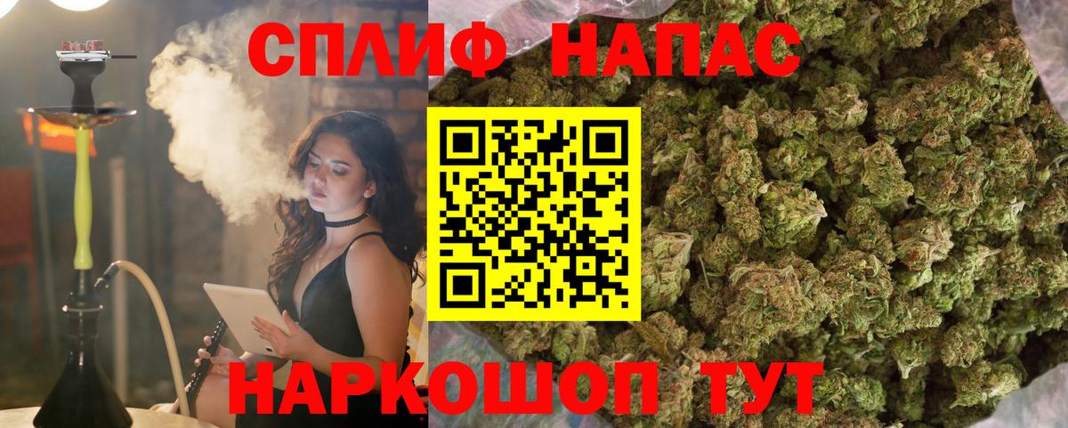 Бошки Шишки семена Киров